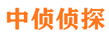 廛河侦探公司